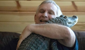 &#039;Bring my baby back&#039;: Wally the &#039;emotional support&#039; alligator goes missing in Georgia